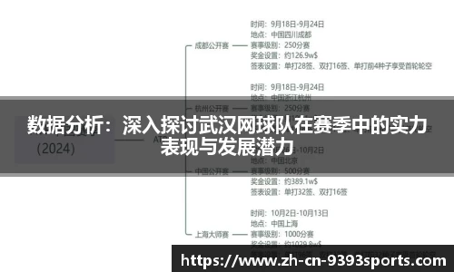 数据分析：深入探讨武汉网球队在赛季中的实力表现与发展潜力